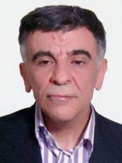 دکتر سید مجتبی احمدی فروشانی متخصص گوش و حلق و بینی